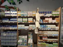 529-biocoop-saint-clair-du-rhone-magasin-bio-lait-laitage-lactose.webp